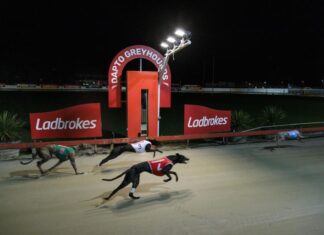 호주 Dapto 90년된 그레이하운드 경주장 마지막 경기 치러 .Since 1937 greyhounds have raced at the South Coast circuit, a venue known on a global stage. (Sydney Morning Herald)