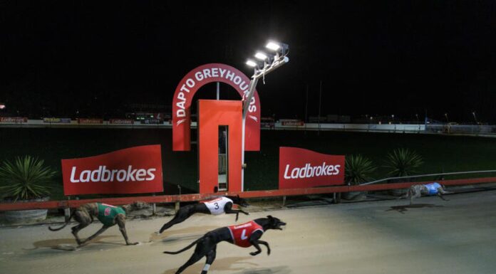 호주 Dapto 90년된 그레이하운드 경주장 마지막 경기 치러 .Since 1937 greyhounds have raced at the South Coast circuit, a venue known on a global stage. (Sydney Morning Herald)