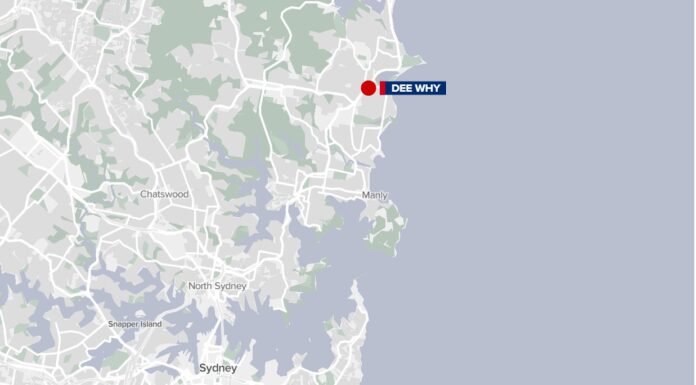 호주 시드니 디와이 해변, 서퍼 상어 공격으로 사망 openstretmap_contributors_9news