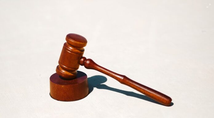 호주 시드니, 태국 여성 착취한 63세 여성 징역형 tingeyinjurylawfirm_unsplash