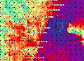 100km/h 이상의 바람 NSW 강타 Strong winds are expected today. (Weatherzone), 9NEWS