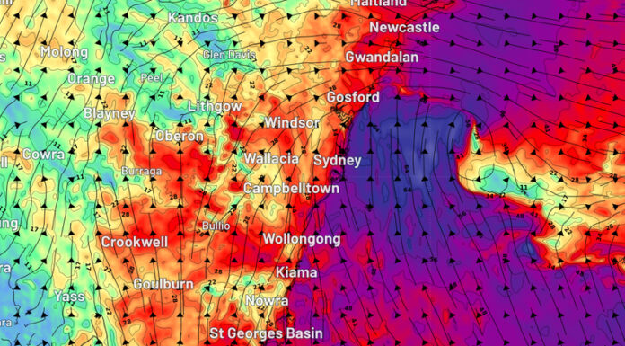 100km/h 이상의 바람 NSW 강타 Strong winds are expected today. (Weatherzone), 9NEWS