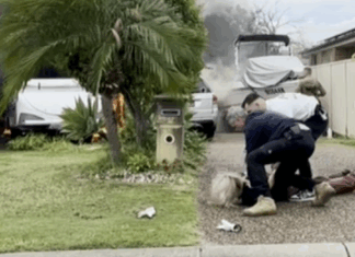 화재로 집을 잃은 호주 엄마, 아들과의 갈등이 불러온 비극 The son was cuffed by police out the front of the home. Credit 7NEWS