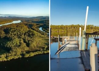 호주 대형 섬 ‘파라다이스’가 시드니의 주택보다 저렴한(?) 가격에 판매 중 This could all be yours for around $1 million. Source_Elders_yahoo_finance