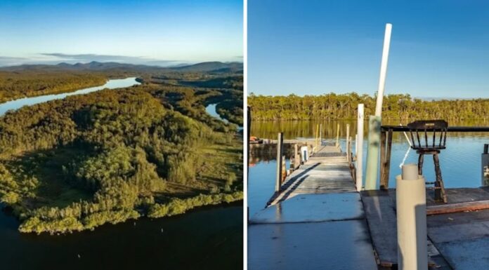 호주 대형 섬 ‘파라다이스’가 시드니의 주택보다 저렴한(?) 가격에 판매 중 This could all be yours for around $1 million. Source_Elders_yahoo_finance