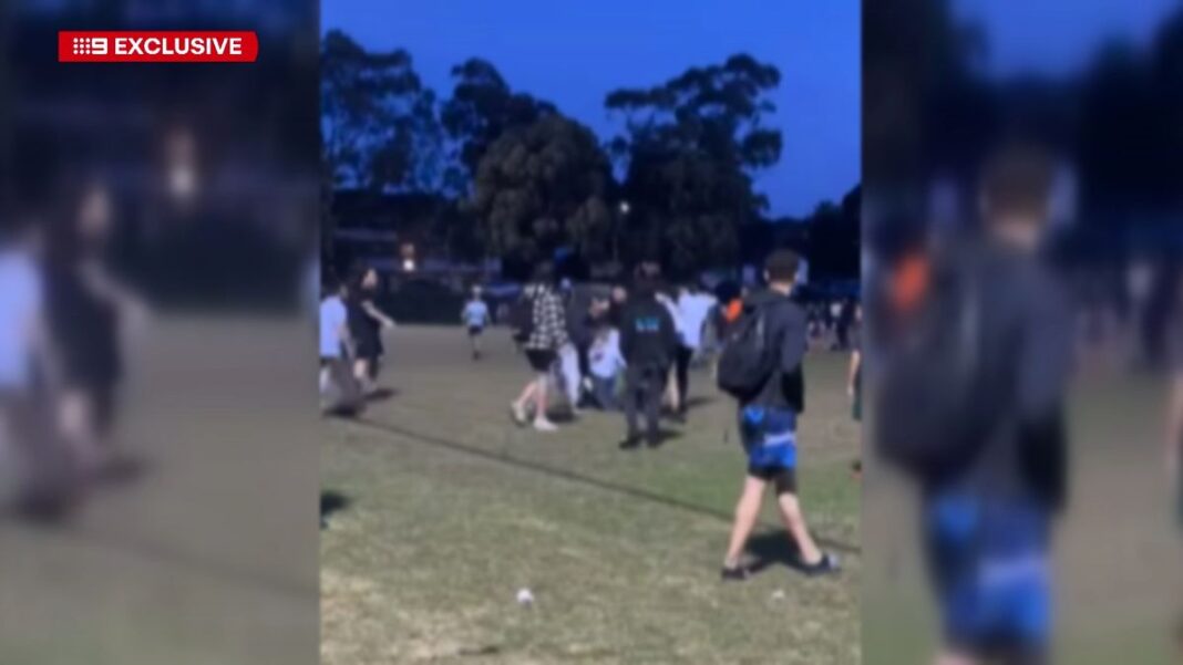 Witnesses told 9News it escalated in just a matter of minutes, involving dozens of people. (Supplied)