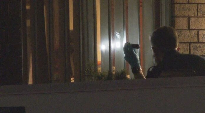 시드니 남서부, 20분 간격 총격 사건 발생 Police are investigating two public place shootings at Prestons and West Hoxton in south-west Sydney. (9News)