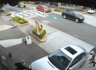 호주 시드니 카페로 차량 돌진 사고 발생 A woman, believed to be aged in her 70s, was taken to hospital with serious injuries after she was pinned to a wall by the car. (Nine)