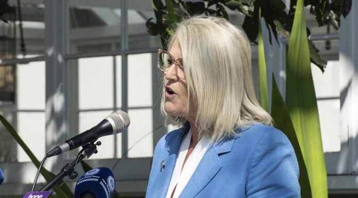 호주 NSW, 상점 내 폭력·절도 사건 예방 위한 새 전략 발표 Yasmin Catley said the new strategy will ensure police have the resources they need to respond swiftly and effectively. (Sydney Morning Herald)_9news