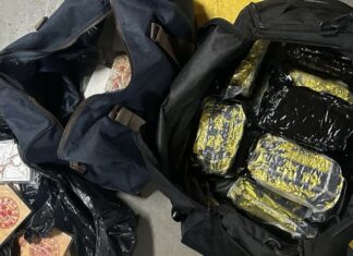 호주 시드니 경찰, 다국적 범죄 조직 연루 마약 2억6천만 달러 압수 During the searches, police located and seized 415kg of prohibited drugs. (Nine)