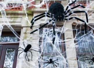 호주 시드니, 환경친화적 할로윈 장식 권고 Synthetic cobweb Halloween decorations pose a danger to animals, it's been warned. (Getty ImagesiStockphoto)_9news