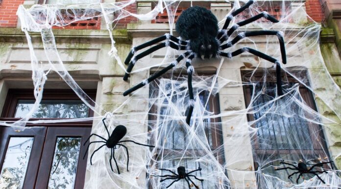 호주 시드니, 환경친화적 할로윈 장식 권고 Synthetic cobweb Halloween decorations pose a danger to animals, it's been warned. (Getty ImagesiStockphoto)_9news
