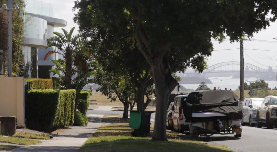 The trees interfere with direct views of Sydney’s famous harbour. Picture Christian Gilles news.com.au
