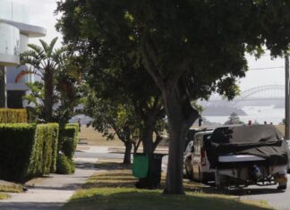 호주 시드니 도버 하이츠, 주택가 오페라 하우스 전망 가리는 나무 제거 결정 The trees interfere with direct views of Sydney’s famous harbour. Picture Christian Gilles news.com.au