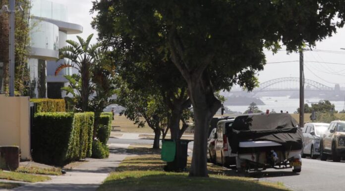 호주 시드니 도버 하이츠, 주택가 오페라 하우스 전망 가리는 나무 제거 결정 The trees interfere with direct views of Sydney’s famous harbour. Picture Christian Gilles news.com.au