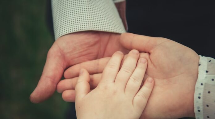 호주의 상속제도