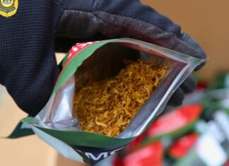 호주 NSW 북부지역에서 230만 달러 상당 불법 담배 압수 Four people have been charged. (Australian Border Force)_9news