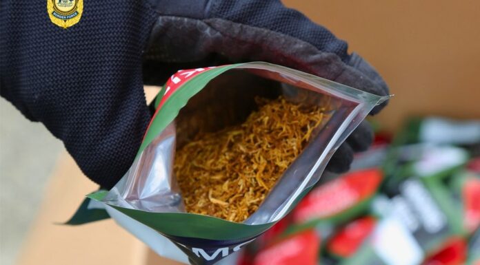 호주 NSW 북부지역에서 230만 달러 상당 불법 담배 압수 Four people have been charged. (Australian Border Force)_9news