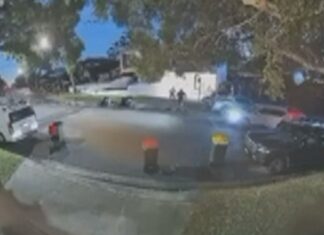 호주 시드니, 부동산 개발업자 동생 납치 후 석방 CCTV shows the moment a man was kidnapped off the street in Sydney. (9News)