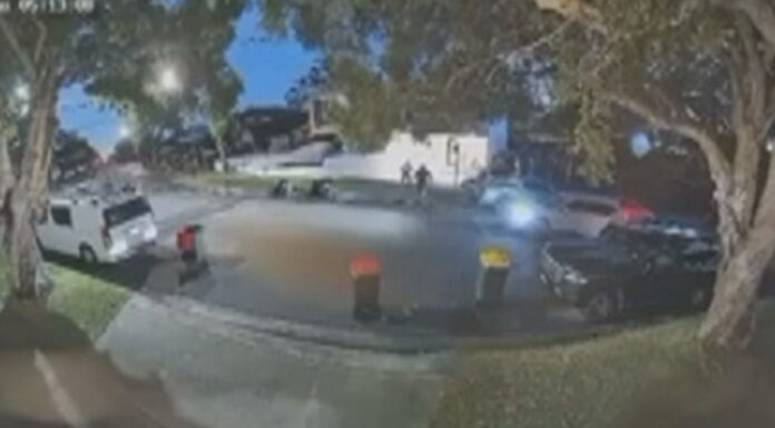 호주 시드니, 부동산 개발업자 동생 납치 후 석방 CCTV shows the moment a man was kidnapped off the street in Sydney. (9News)