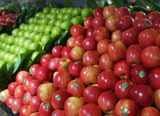 호주 NSW, 연료 비축량 부족으로 비상시 ‘식량 공급 마비’ 우려 Australia's limited fuel reserves could result in a food freeze. (Getty ImagesiStockphoto)_9news