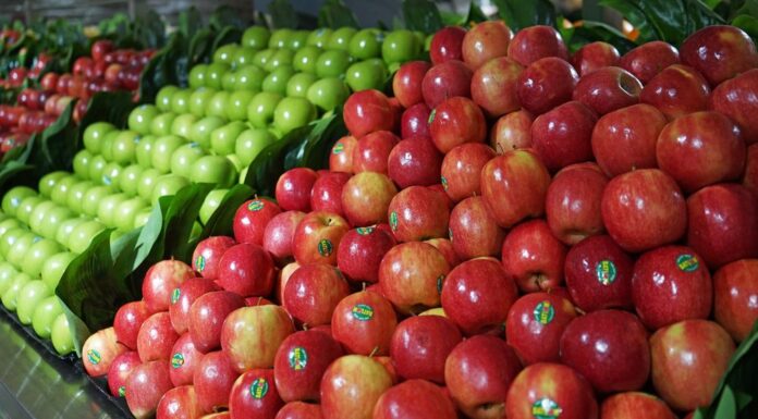 호주 NSW, 연료 비축량 부족으로 비상시 ‘식량 공급 마비’ 우려 Australia's limited fuel reserves could result in a food freeze. (Getty ImagesiStockphoto)_9news