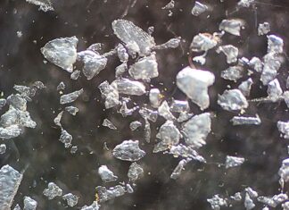 호주 NSW, 미세플라스틱 함유 스킨케어 판매 중단 조치 Plastic microbeads under a microscope. (NSW EPA)_9news