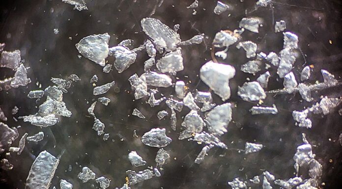 호주 NSW, 미세플라스틱 함유 스킨케어 판매 중단 조치 Plastic microbeads under a microscope. (NSW EPA)_9news