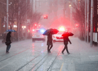 호주 NSW, ‘블랙 서머’ 이후 10월 강수량 최저 기록 Sydney has had its lowest amount on rain in October since 2019, but it may not last. (Edwina Pickles)_9news
