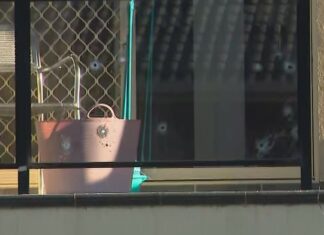 시드니 남서부 매쿼리필즈 한 주택, 일주일동안 두 번의 총격 발생 Multiple shots were fired at a home in Macquarie Fields, Sydney, overnight. (9News)