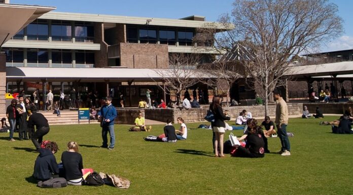 호주, 10만 명 호주 학생 부채 수십억 달러 탕감 Sydney, Australia - August 17, 2012 Students and graduates converge on a lawn before the University of New South Wales (UNSW) library on a clear winter morning. (Getty)_9news