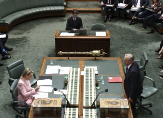 원 네이션 폴린핸슨 바나비 조이스 극우 정치 지지도 인기 급상승 Leader of the Opposition Sussan Ley and Prime Minister Anthony Albanese during the first Question Time of the 48th parliament in the House of Representatives at Parliament House in Canberra (Dominic Lorrimer)