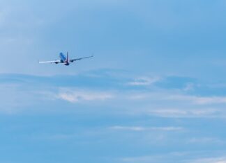 한국 포함, 아시아 국가 호주인 입국 규정 변경 tracminhvu_unsplash