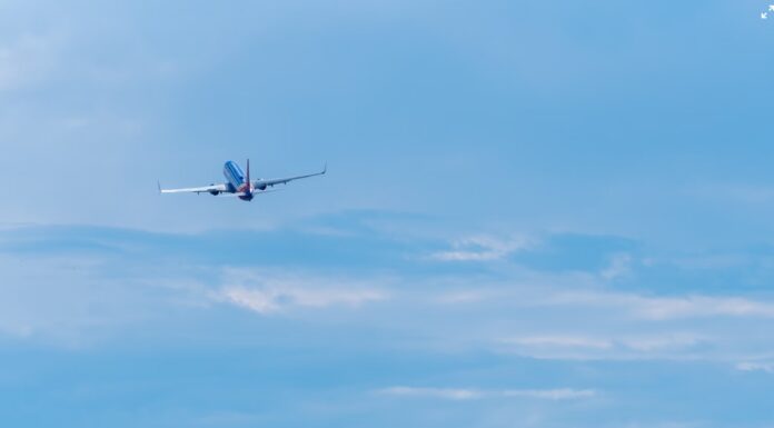 한국 포함, 아시아 국가 호주인 입국 규정 변경 tracminhvu_unsplash