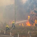 1.A 59-year-old national parks firefighter has died after he was hit by a tree while fighting a bushfire north of Newcastle in NSW. (Media Response Newcastle.)_9news