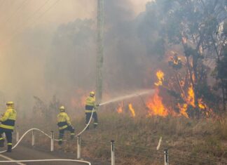 NSW 뉴캐슬 네롱에서 산불 진화중 소방관 사망 A 59-year-old national parks firefighter has died after he was hit by a tree while fighting a bushfire north of Newcastle in NSW. (Media Response Newcastle.)_9news