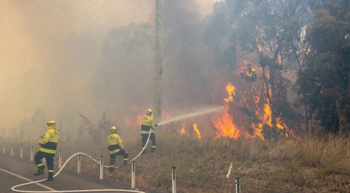 NSW 뉴캐슬 네롱에서 산불 진화중 소방관 사망 A 59-year-old national parks firefighter has died after he was hit by a tree while fighting a bushfire north of Newcastle in NSW. (Media Response Newcastle.)_9news