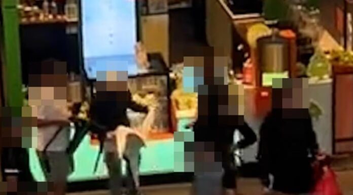 호주 시드니 브로드웨이 쇼핑센터서 10대 난투극 Shoppers were in fear as the brawl unfurled in the food court. Image Supplied_news.com.au