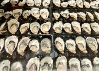 NSW 사우스코스트 굴 절도 잇따라…경찰, 값싼 굴 구매 경고 Fresh oysters on sale at the busy Sydney Fish Market. (Getty)_9news