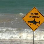 10.Shark-spotting drones will be deloyed at unpatrolled NSW beaches. (9News)