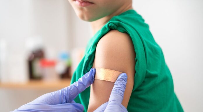 호주, NSW 코우라에서 두 번째 치명적인 모기 매개 바이러스 발견 A vaccine for JE is available and free for eligible people. (Getty)_9news