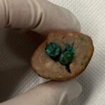 18.Vets analyse a sample of the sausage with a green substance inserted inside it. (Facebook)_9news