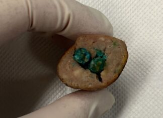 호주 시드니, 독살 소시지 주의보 Vets analyse a sample of the sausage with a green substance inserted inside it. (Facebook)_9news