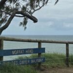 3.The 17-year-old died after suffering significant head injuries in the fall. (9News)