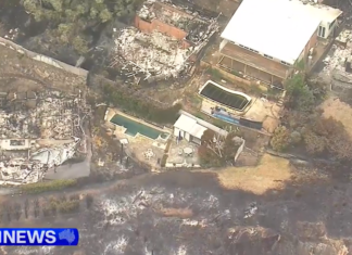 호주 NSW 쿨웡(Koolewong) 산불로 18가구 피해 Residents remain remarkably stoic in the face of tragedy, returning to gather anything they can from their homes. (Nine)