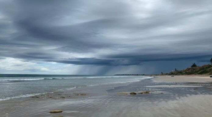 호주, 해외출생 익사 사고 사망자 다수 james_wakefield_wakes_unsplash