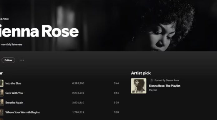 스포티파이(Spotify), AI 음악 논란에 주가 급락 Sienna Rose, an AI artist with over 3.2 million monthly listeners. Picture Spotify_news.com.au