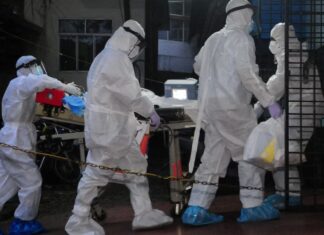 인도 웨스트벵골서 니파 바이러스 발생 Nipah virus has a fatality rate in humans of up to 75 per cent. (Reuters CK Thanseer)_abc news