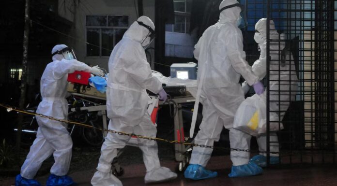 인도 웨스트벵골서 니파 바이러스 발생 Nipah virus has a fatality rate in humans of up to 75 per cent. (Reuters CK Thanseer)_abc news