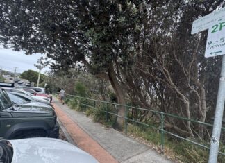 시드니 노스비치, 주차규정없는곳에 주차한 여성에 140달러 벌금 Karina parked her car here on a visit to the Northern Beaches and copped a $140 fine. (Supplied)_9news